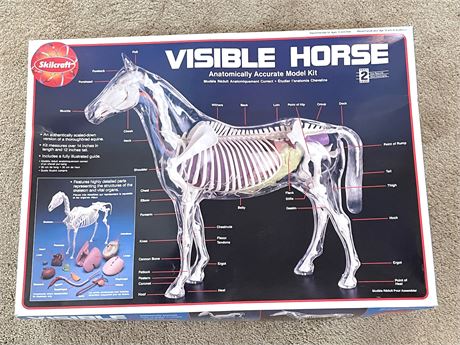 Visible Horse