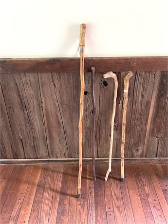 Four (4) Canes and Walking Sticks