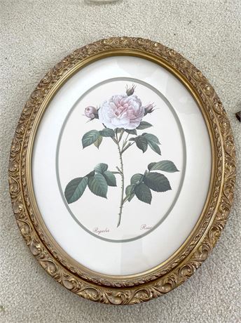 Oval Botanical Framed Print
