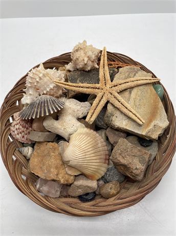 Decorative Seashell Basket