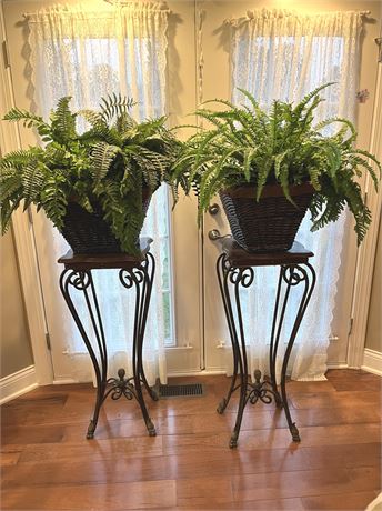 Wrought Iron Wood Plant Stands w/ Decorative Ferns