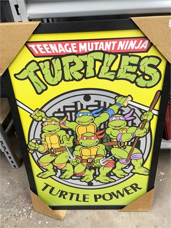 Teenage Mutant Ninja Turtles Poster Board