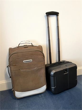 Delsey Luggage