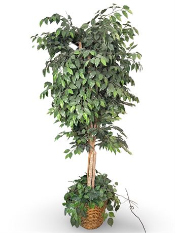 7 Ft. Faux Ficus Tree