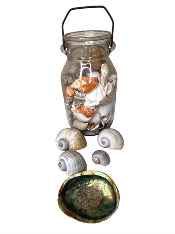 Large Jar of Seashells