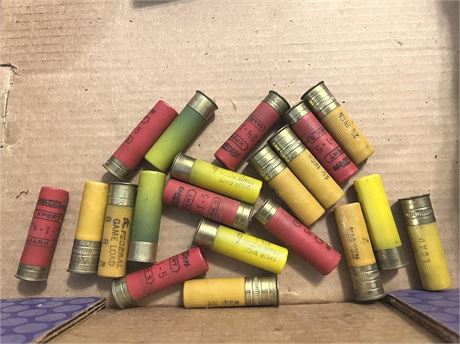 Assorted Shotgun Shells