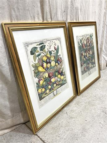 Botanical Art Prints