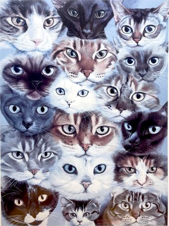 "Cat's Eyes" Lithograph