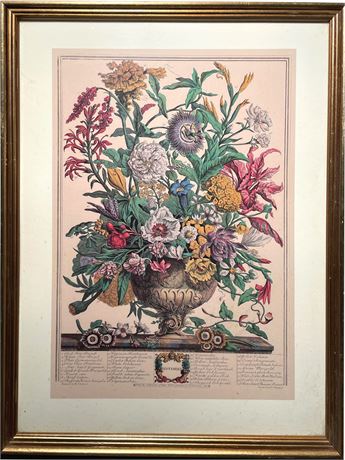 Floral Botanical Print