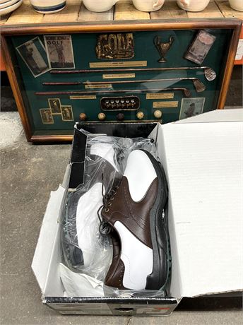 Golf Shoe and Shadow Box Lot