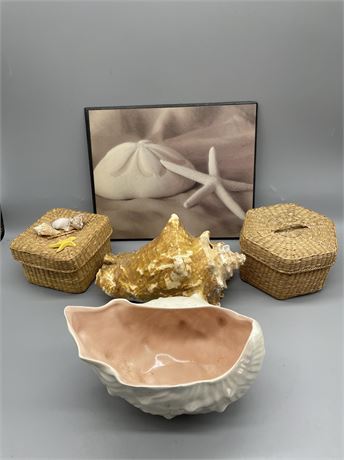 Seashell Decoratives