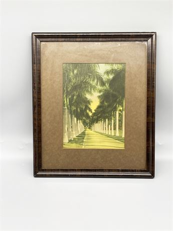 Vintage Palm Tree Print