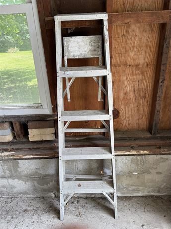5 Foot Aluminum Ladder