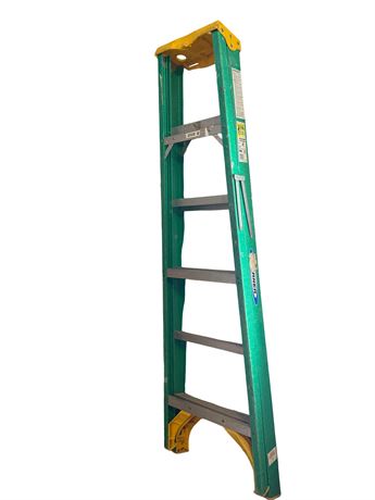 Werner 6 Ft. Fiberglass Step Ladder