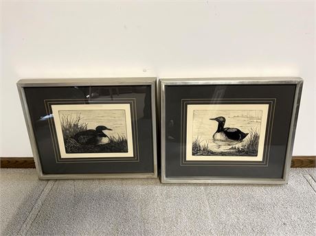 J. Lundquist Common Loon Limited Edition Prints