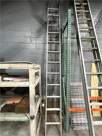 20" Aluminum Extension Ladder