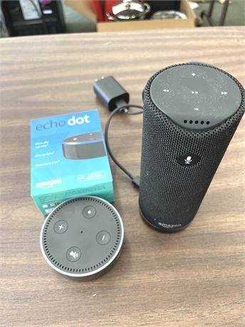 Amazon Echo Lot