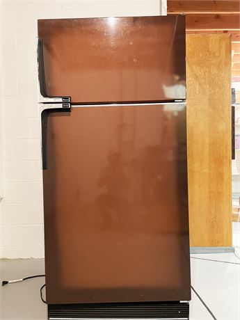 Mid-Century Amana Refrigerator