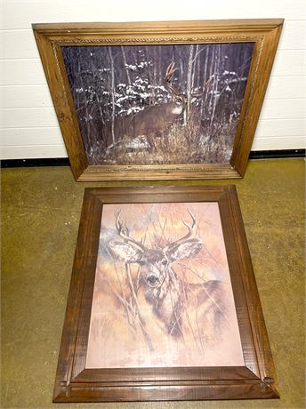 Framed Deer Prints
