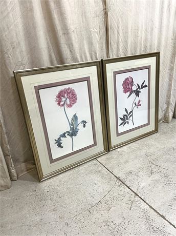 Brewster and Stroud Pink Poppy Art Prints