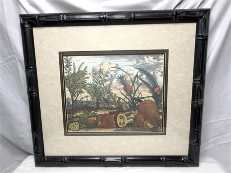 Exotic Botanical Art Engraving