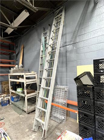 Sears 30" Aluminum Extension Ladder