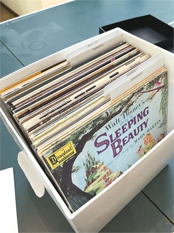 Vinyl Rock Record Collection (Holiday, Comedy, Classical, Folk)