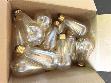 60-watt Edison Bulbs