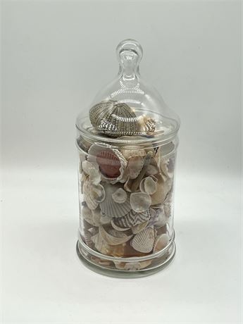 Apothecary Jar of Shells