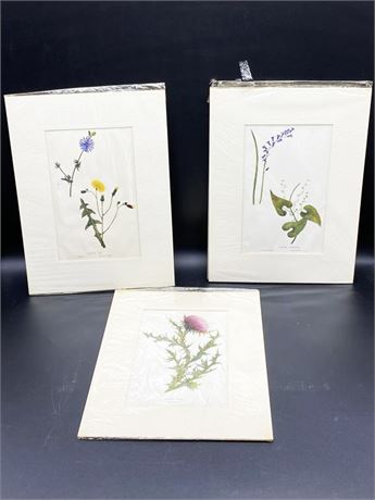 Three (3) Floral Prints