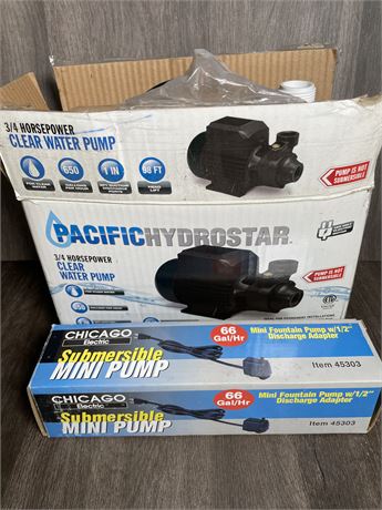 Pacific Hydrostar Portable Utility Pump w/ Mini Pump