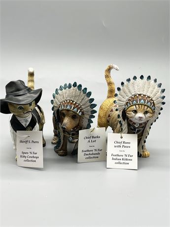 Indian Kittens Collection