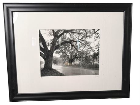 Limited Edition Signed Black and White Photograph Litho Print