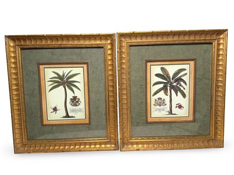 Palm Tree Framed Prints Royal Highness' Prince & Princess Of Wales