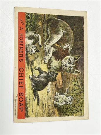 Antique Cat Trade Card