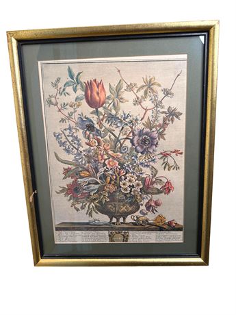 Robert Furber "Twelve Months of Flowers: February" Art Print