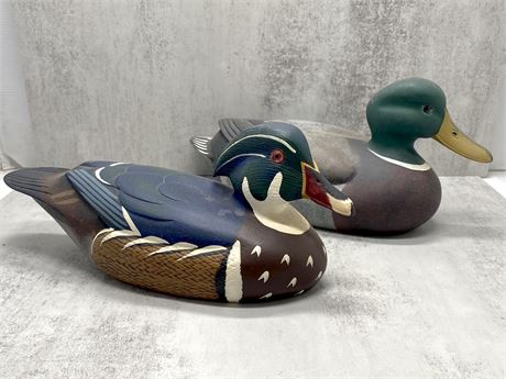 North American Duck Collection