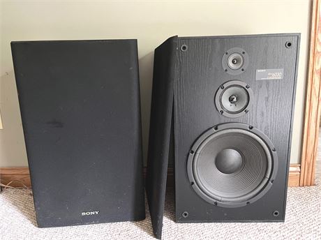 Sony Floor Speakers