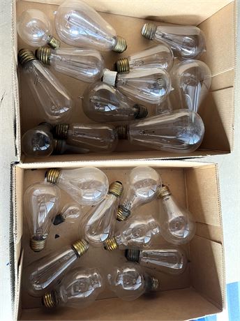 Large Lot of Antique Light Bulbs