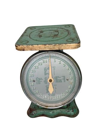 American Family Kitchen Scale 25 lb