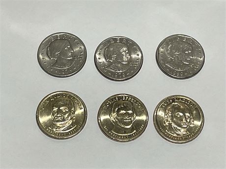 $6 in Dollar Coins