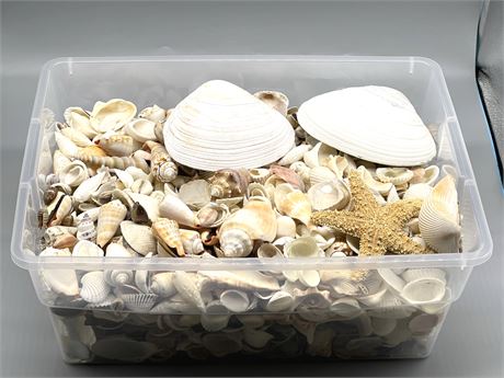 Container of Shells