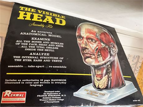 The Visible Head