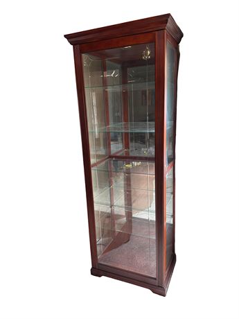 Pulaski Furniture Sliding Front Lighted Curio Cabinet