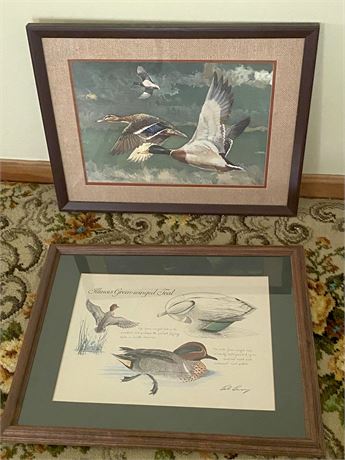 Framed Duck Wall Art