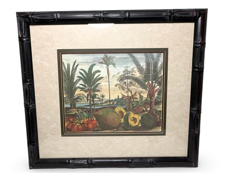 Exotic Botanical Art Engraving