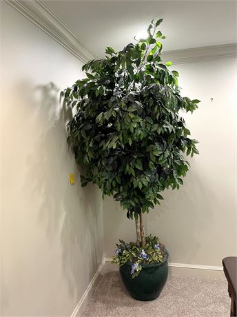 7.5 Ft. Tall Aritificial Ficus Tree