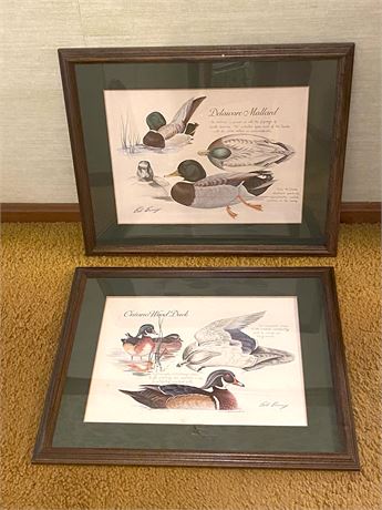 Framed Duck Wall Art