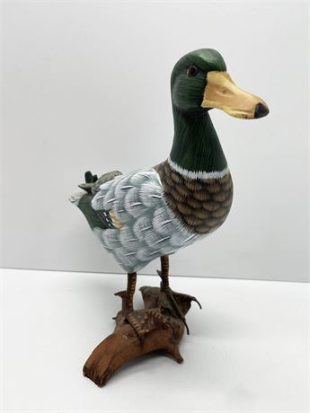 Wood Duck Display