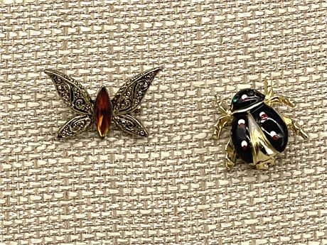 Buttefly & Lady Bug Pins